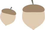img-acorn